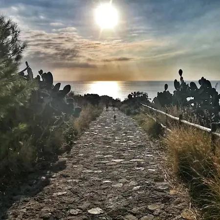 Paradiso 피아노 콘테