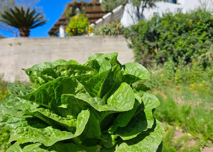 Lejlighed Paradiso Piano Conte