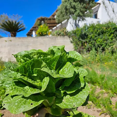 アパート Paradiso Piano Conte